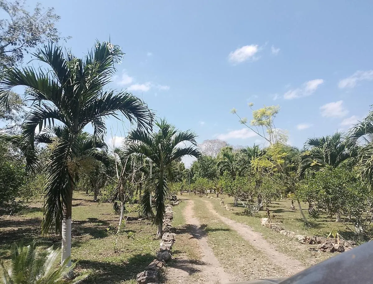 Apartment In Finca Mayfran Xul-Ha