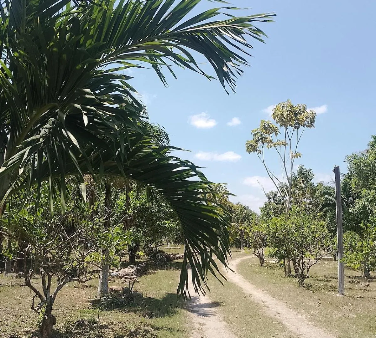 Apartment In Finca Mayfran Xul-Ha