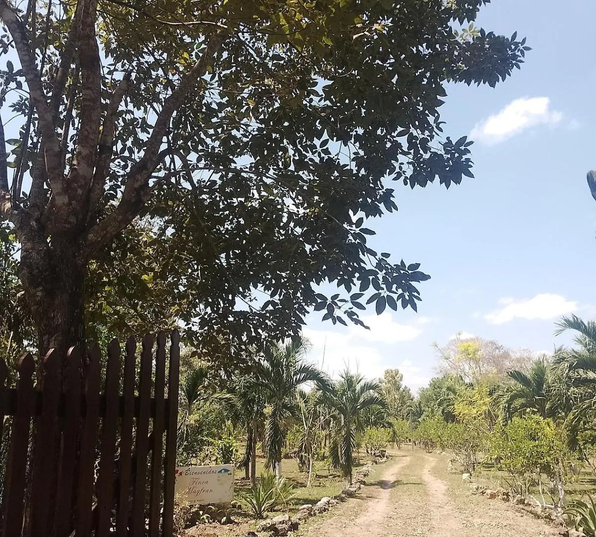 Apartment In Finca Mayfran Xul-Ha