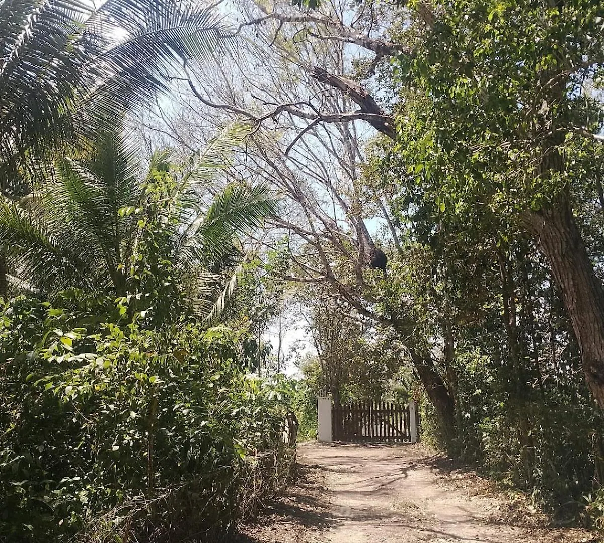 Apartment In Finca Mayfran Xul-Ha