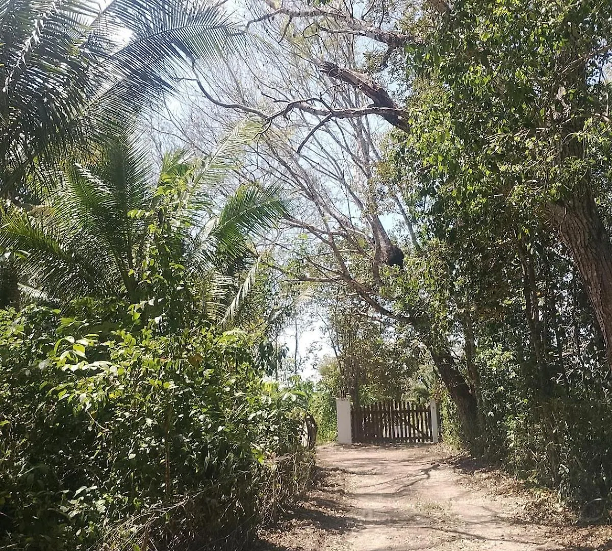 Apartment In Finca Mayfran Xul-Ha 0*,